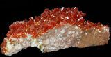 Red Vanadinite Crystal Cluster - Morocco #38527-1